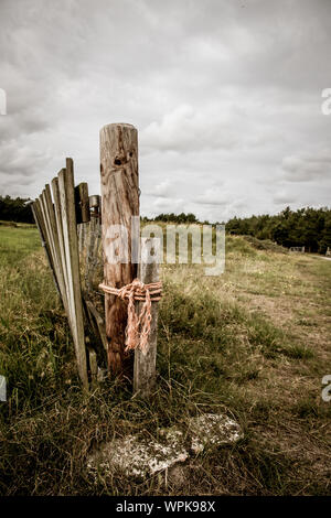Recinti di legno dividendo horse paddocks sull isola di Ameland in estate Foto Stock