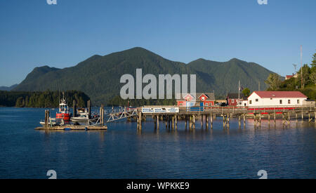 Tofino porto e marina sull'Isola di Vancouver, British Columbia Foto Stock