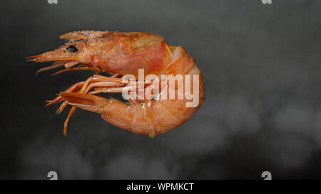 Accurata selezione di gamberi jumbo per la cena sulla lastra di pietra. Foto Stock