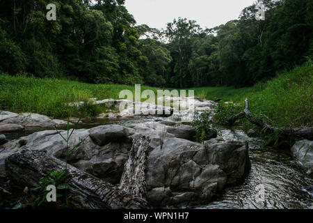 Escursione in North Queensland vicino Mareeba Aeroporto lungo una bella insenatura e il lago, area di Cairns, Australia Foto Stock