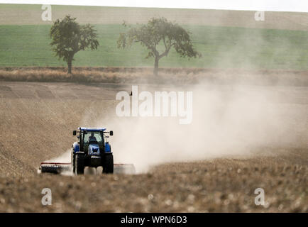 06 settembre 2019, in Sassonia, Grimma: un trattore viaggia con un erpice e abbondanza di polvere whirled fino al di sopra di un campo vicino a Grimma. Foto: Jan Woitas/dpa-Zentralbild/ZB Foto Stock