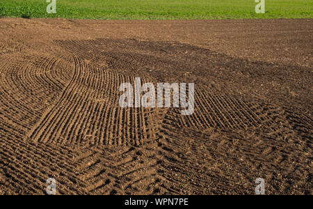 Arato di fresco campo agricolo Foto Stock