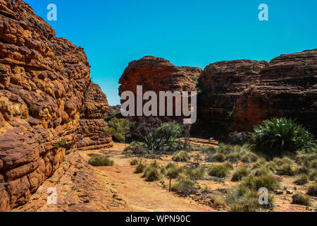 Kings Canyon nel Watarrka National Park, il Territorio del Nord, l'Australia, Outback Foto Stock