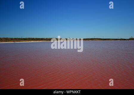 Laguna Hutt, Lago Rosa, Gregorio, Area di Kalbarri, West Coast, Australia occidentale Foto Stock