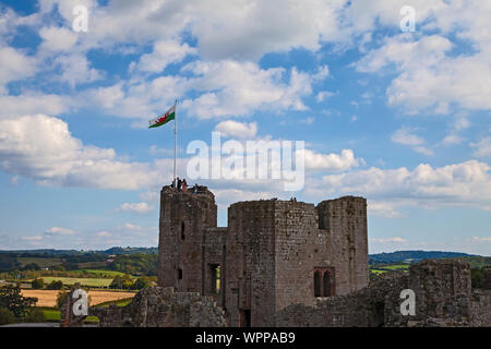 Raglan Castle, Monmouthshire, Wales, Regno Unito Foto Stock