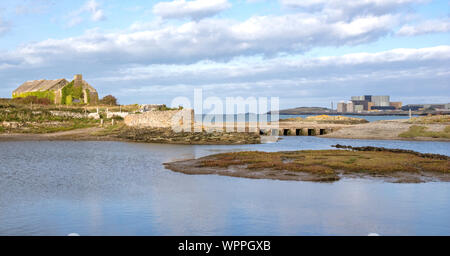 Cemlyn North Wales Wildlife Trust Reserve e Wylfa Centrale Nucleare, Cemaes Bay, Anglesey, Galles del Nord, Regno Unito Foto Stock