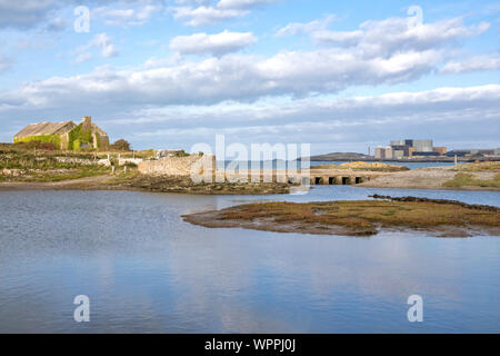 Cemlyn North Wales Wildlife Trust Reserve e Wylfa Centrale Nucleare, Cemaes Bay, Anglesey, Galles del Nord, Regno Unito Foto Stock