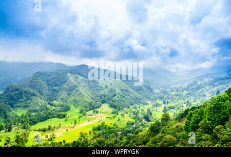 Vista sul lussureggiante paesaggio verde in Colombia vicino alla città del Salento, Colombia Foto Stock