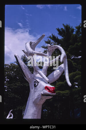 Foresta Magica, Lake George, New York Foto Stock