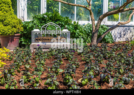 Segno per il conservatorio nel parco dei volontari in Seattle Washington Foto Stock