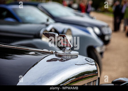 Primo piano del logo Bentley classico su Bentley vintage classico in concurs of Elegance , Hampton Court, Londra 2019 Foto Stock