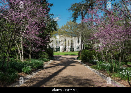 Villa a Bayou Bend Raccolta e giardini nel fiume Oaks quartiere di Houston, Texas Foto Stock