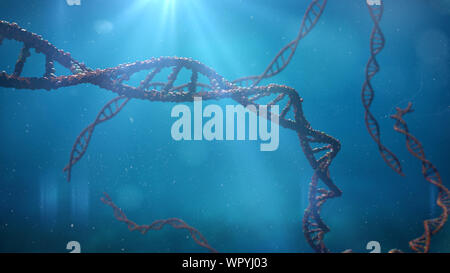 Molecola di DNA a doppia elica galleggiante in acqua (3d rendering della scienza) Foto Stock