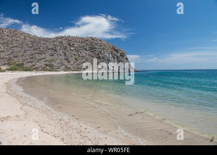 El SALTITO Beach, La Paz Baja California Sur Marini, dal mare di Cortes. Messico Foto Stock