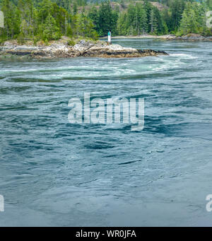 Turbolenti, veloce e pericolose rapide di marea ad alta marea, Punto Nord, Skookumchuck si restringe, British Columbia, Canada. Foto Stock