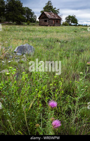 Un solitario storica log cabin vicino a intaglio lamellare Area Faunistica nelle White Mountains dell Arizona. Foto Stock