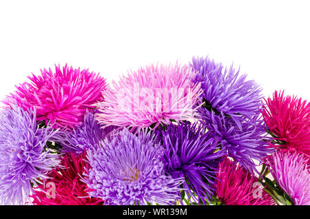 Bella viola e rosa giardino aestri mazzetto di fiori isolati su sfondo bianco closeup Foto Stock