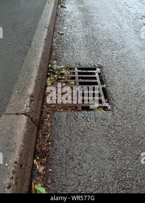 Drenaggio stradale bloccato con foglie cadute accanto ai cordoni Foto Stock