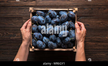 Raccolta a mano, scatola di legno, mani, videohive, pomodori organici, albicocca, prugna pitter appena raccolto, frutta Foto Stock