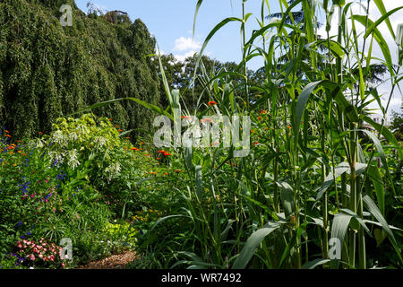 Le piante e gli uomini, aria aperta mostra a Vincennes Park, Vincennes, Val-de-Marne, Île-de-France, Francia Foto Stock