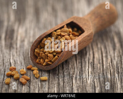 Fieno greco semi in un cucchiaio di legno Foto Stock