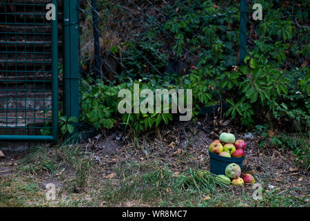 Una benna di mele su una strada vicino ad un giardino a Berlino, Germania Foto Stock