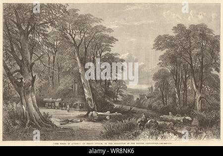 " Il Bosco in autunno" da Henry Jutsum. Paesaggi. Belle Arti 1864 ILN print Foto Stock