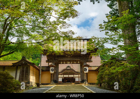 Wakayama, Giappone - 24 Luglio 2019: scalini in pietra che conduce all'ingresso del tempio Kongobuji, originariamente costruita nel 1593 da Toyotomi Hideyoshi a comme Foto Stock