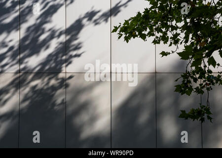 Ombre di foglia caduta sul mantello di un blocco di appartamenti a Berlino, Germania Foto Stock