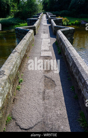 Shugborough Hall, Staffordshire, nelle mani del National Trust Foto Stock