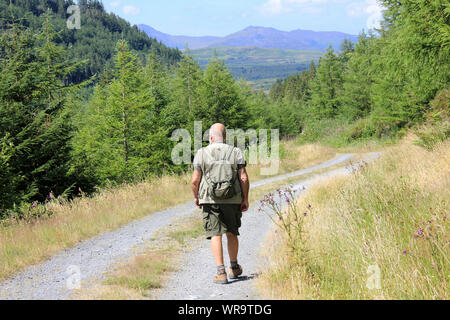 Escursionista nella valle di CWM Penamnen, Dolwyddelan, Gwydyr Forest Park, Snowdonia National Park, Galles Foto Stock