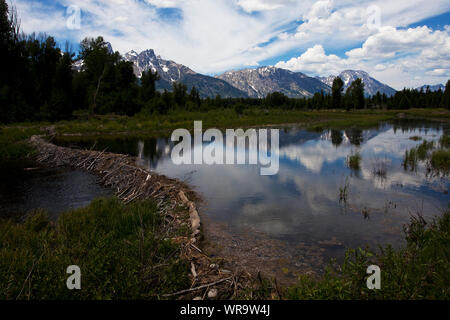 Grand Teton e i Teton mountain range da lanca piegare su Snake River Grand Teton National Park Wyoming USA Giugno 2015 Foto Stock