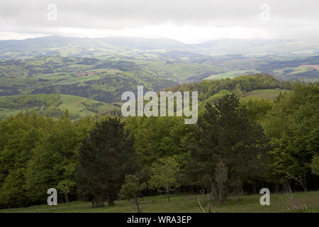 Foresta di Irati e prati in primavera Regione Navarra Spagna Foto Stock