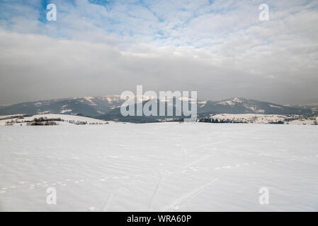 Inverno dintorni del villaggio Bukovec nella parte più orientale della Repubblica ceca con coperta di neve prato, disperse insediamento di Bukovec village e hill Foto Stock