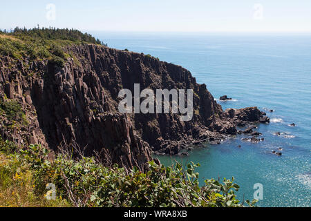 Basalto colonnare a sud-ovest di testa Manan Grand Island Baia di Fundy New Brunswick Canada Agosto 2016 Foto Stock