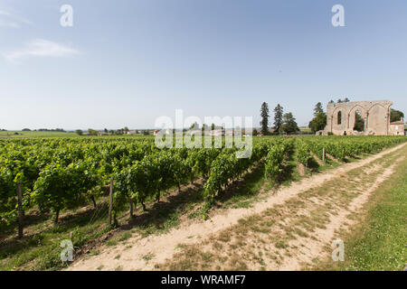 Città di Saint-Emilion, Francia. Vista pittoresca del Chateau Les Grandes Murailles con Les Grandes Murailles (la grande parete) in background. Foto Stock