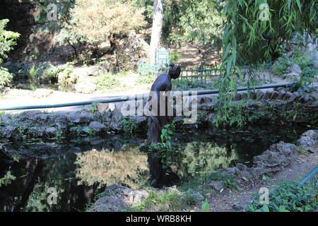 Il più antico parco Parco Cismigiu Foto Stock