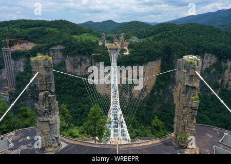 In questa vista aerea, turisti brave la più lunga del mondo e il più alto dal fondo di vetro ponte sopra il Zhangjiajie Grand Canyon a Wulingyuan Scenic e H Foto Stock