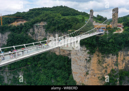In questa vista aerea, turisti brave la più lunga del mondo e il più alto dal fondo di vetro ponte sopra il Zhangjiajie Grand Canyon a Wulingyuan Scenic e H Foto Stock