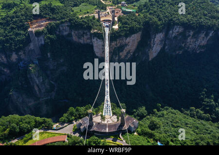 In questa vista aerea, turisti brave la più lunga del mondo e il più alto dal fondo di vetro ponte sopra il Zhangjiajie Grand Canyon a Wulingyuan Scenic e H Foto Stock
