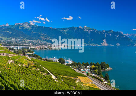 Lavaux paesaggio con vigneti in riva al lago di Ginevra, vista in direzione di Vevey e Montreux, Chardonne, Vaud, Svizzera Foto Stock