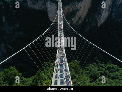 In questa vista aerea, turisti brave la più lunga del mondo e il più alto dal fondo di vetro ponte sopra il Zhangjiajie Grand Canyon a Wulingyuan Scenic e H Foto Stock