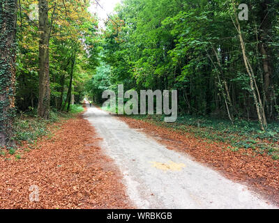 Passaggio pedonale, Vincennes, Val-de-Marne, Île-de-France, Francia Foto Stock