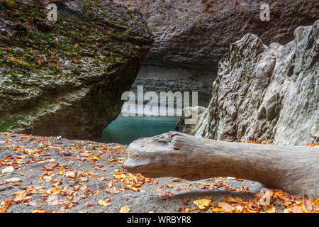 Paesaggio con autunno spiaggia sabbiosa nel canyon di un fiume di montagna a secco con caduta foglie e un albero secco tra le rocce Foto Stock