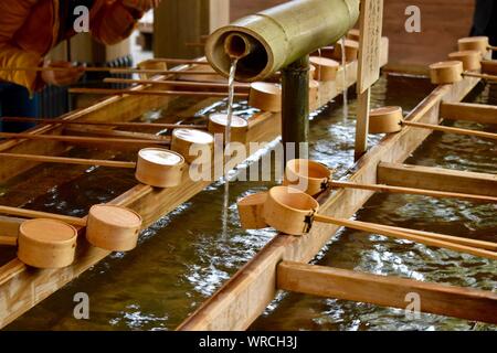 Temizuja - serbatoio acqua per rituale di lavare le mani e la bocca prima di entrare al Santuario Meiji-jingu - il più grande e il più famoso Santuario Shinto Foto Stock