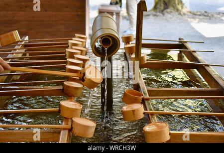 Temizuja - serbatoio acqua per rituale di lavare le mani e la bocca prima di entrare al Santuario Meiji-jingu - il più grande e il più famoso Santuario Shinto Foto Stock