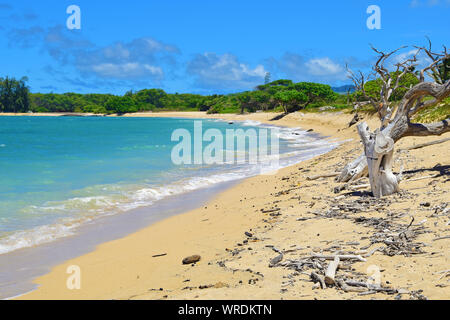 Kanaha Beach Park, Maui Foto Stock