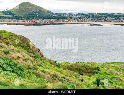 Vista di Berwick Law & North Berwick da Craigleith Island, Firth of Forth, East Lothian, Scozia, Regno Unito Foto Stock