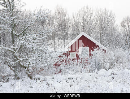 Svezia - Inverno freddo, stagione, regioni, congelamento, temperature, ghiaccio, neve Foto Stock