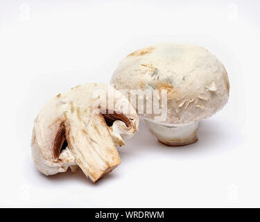 Funghi champignon interi e tagliate a metà su sfondo bianco Foto Stock